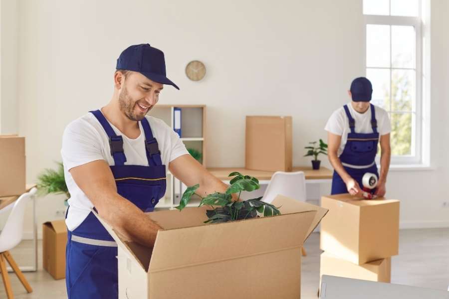Un déménageur professionnel en uniforme emballe une plante délicate dans un carton lors d'un déménagement luxe.