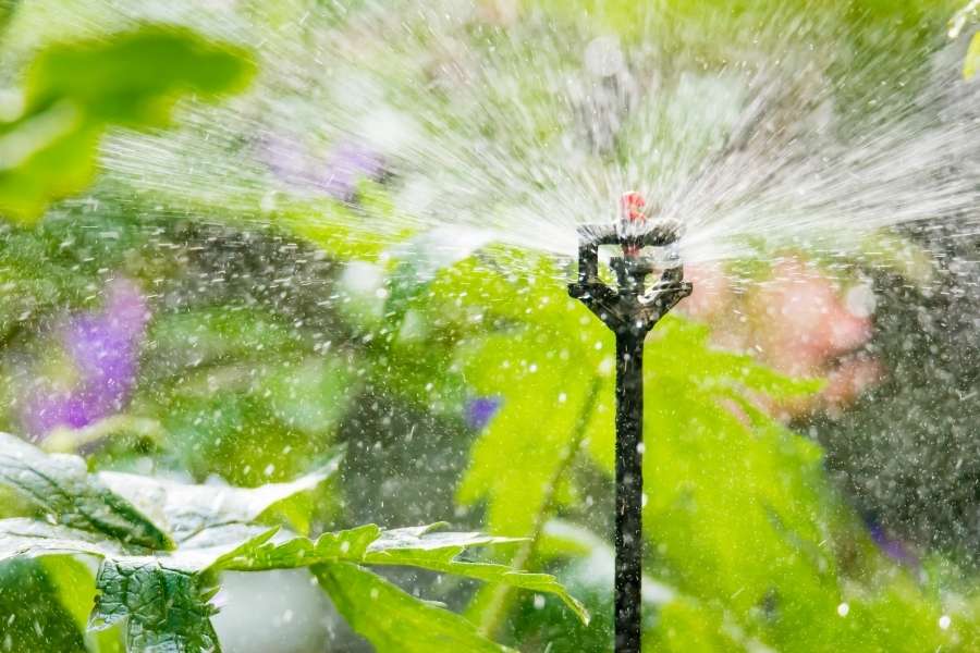Un arroseur de jardin diffuse de l'eau en fines gouttelettes dans un système d'arrosage automatique au milieu des feuillages.